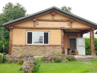 Geumok Log Pension - Seogwipo - 3