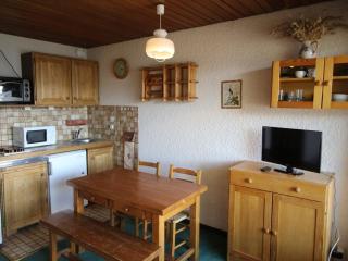Studio cabine au pied des pistes avec balcon et parking - Auris en Oisans - FR-1-297-14 - Auris - 0