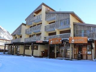 Studio cabine au pied des pistes avec balcon et parking - Auris en Oisans - FR-1-297-14 - Auris - 3