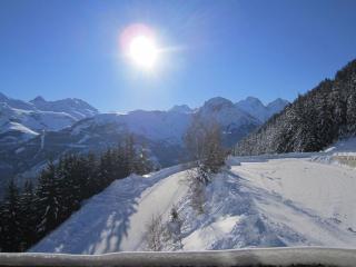 Studio cabine rénové, grand balcon, 6 couchages, 300m des pistes d'Auris en Oisans - FR-1-297-34 - Auris - 9