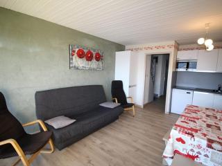 Duplex 2p cabine au pied des pistes avec balcons - Auris en Oisans - FR-1-297-102 - Auris - 6