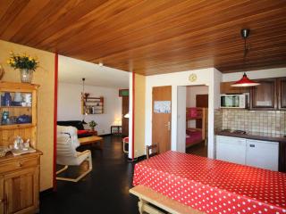 Appartement spacieux 2P cabine, pieds des pistes, proche commerces auris - FR-1-297-101 - Auris - 6