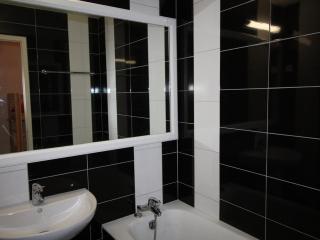 Appartement spacieux 2P cabine, pieds des pistes, proche commerces auris - FR-1-297-101 - Auris - 3