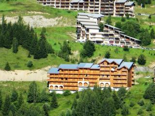 Studio confortable avec balcon à 400m des pistes - Auris en Oisans - FR-1-297-138 - Auris - 3