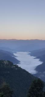 Flower Patch Homestay - 8