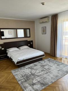 Pensiunea Max - Cluj-Napoca - 8