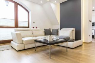 Apartament Srebrny - 8