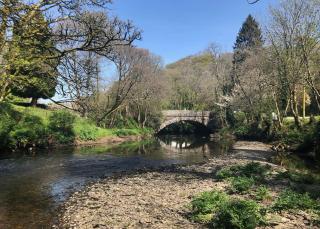 Notter Bridge Holiday Park - Landrake - 1