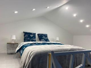 Logement avec mezzanine - Tremblay-en-France - 1