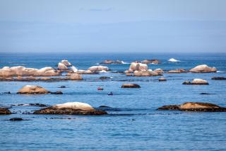 Abalone Hotel & Villa's - Paternoster - 4