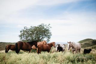 Estancia Acuarela del Río - 0