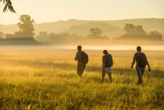 Das Landhaus - by BollAnts - 7