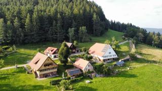 Ferienhof Kienbronnerhof - Schiltach - 9