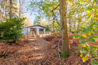 Azenor Lodge - Weybourne - 8