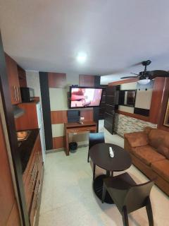 R.1103 Lindo estudio ejecutivo en área turística. - Città di Panama - 6