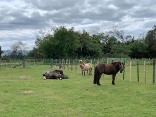 Cliff Top Cottage - 2