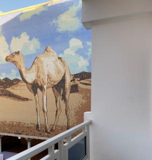 Hôtel Hayatt - Nouakchott - 3