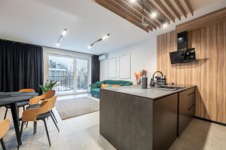 Luxury Copper Apartment II - Łódź - 5