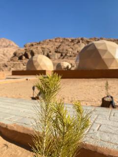 Abdullah wadi rum camp - Wadi Rum - 1