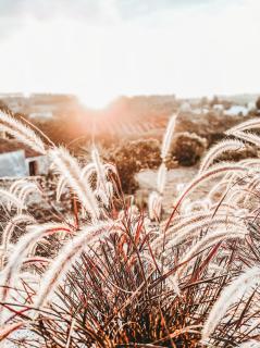 Casa-Simplicity Gelder Zetten LDA - 3