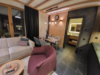 Woodside 430 Apartment - Kopaonik - 9