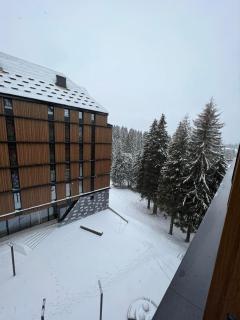 Woodside 430 Apartment - Kopaonik - 3