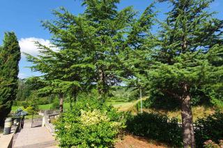 Apartment in Novaki Pazinski - Istrien 43267 - 3