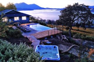 Vineyard Setting With 180 Panoramic Lake Views - Lower Lake - 9