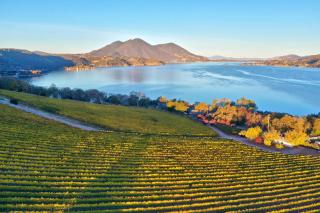 Vineyard Setting With 180 Panoramic Lake Views - Lower Lake - 5