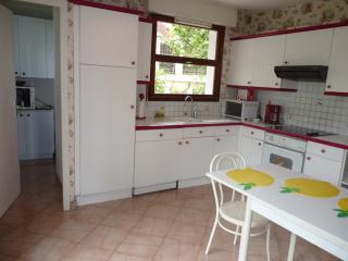 Grande villa calme avec jardin à Aix-les-Bains - FR-1-555-71 - Aix-les-Bains - 6