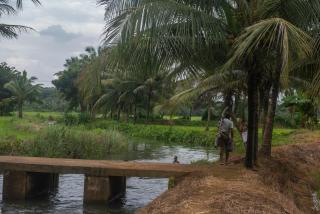 Afrika House by Afrind Hospitality - 5