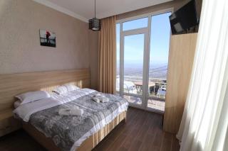 Guest House Alazani Valley - Sighnaghi - 5