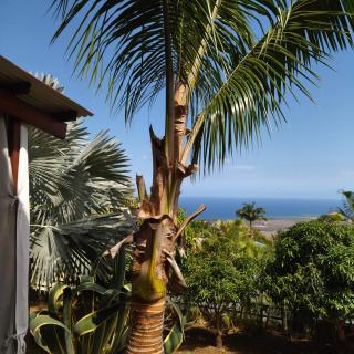 Lebulbul Saintpaul maison d'hotes avec Vue mer imprenable piscine et jacuzzi privés - Bellemène - 5