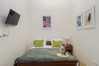 Superb apartments near Dlouha street - Praga - 1