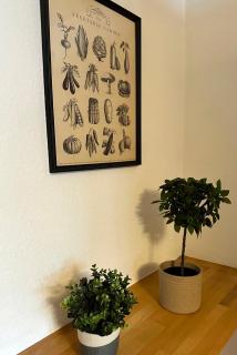 City-Apartment in Krefeld - BEUYS Apartments - Krefeld - 1