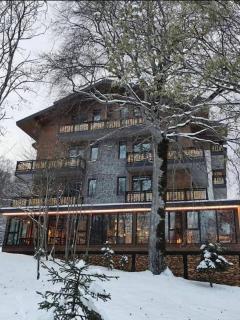 RESIDENCE DIDVELI IN BAKURIANI - Bakuriani - 1