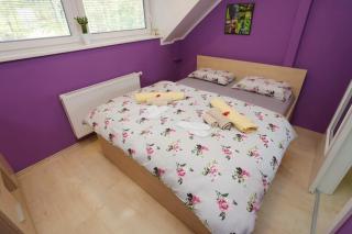 Lux Living Apartments BUDIČ near Terme Čatež - 5