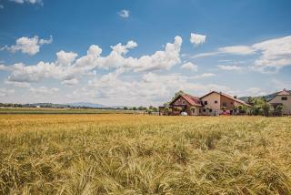 Lux Living Apartments BUDIČ near Terme Čatež - 4