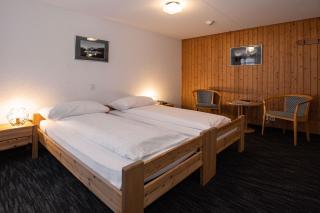 Jungfrau Lodge, Swiss Mountain Hotel - Grindelwald - 1
