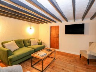 Vintner's Cottage - Norwich - 7