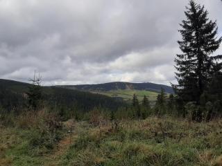 Zur alten Schmiede - Breitenbrunn/Erzgebirge - 1