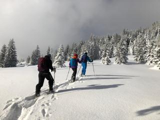 Hotel-Garni Kalkbrennerhof - 1