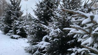 Apartament Hakerówka - 5