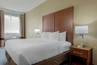 Comfort Suites Waco North - Near University Area - Waco - 8
