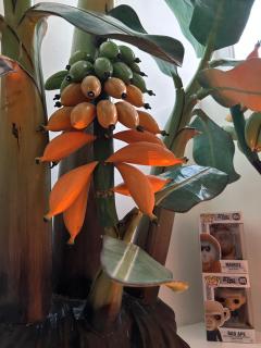 Monkey Tree Stay - Schiedam - 6