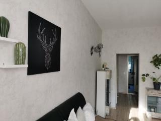 Ferienwohnung Luise mit separater Küche - Naumburg - 1