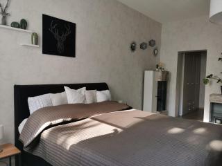 Ferienwohnung Luise mit separater Küche - Naumburg - 5