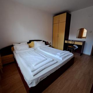 Todorini Kuli Apartments - Bansko - 4