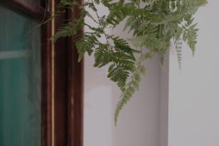 鹿耳宅宅 Lure Guesthouse - 1