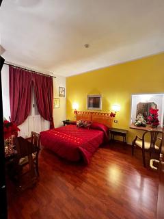 Hotel S.Giorgio & Olimpic - Florence - 7